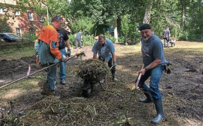 13.07.2020 EZ: Es lichtet sich im Park in Larrelt