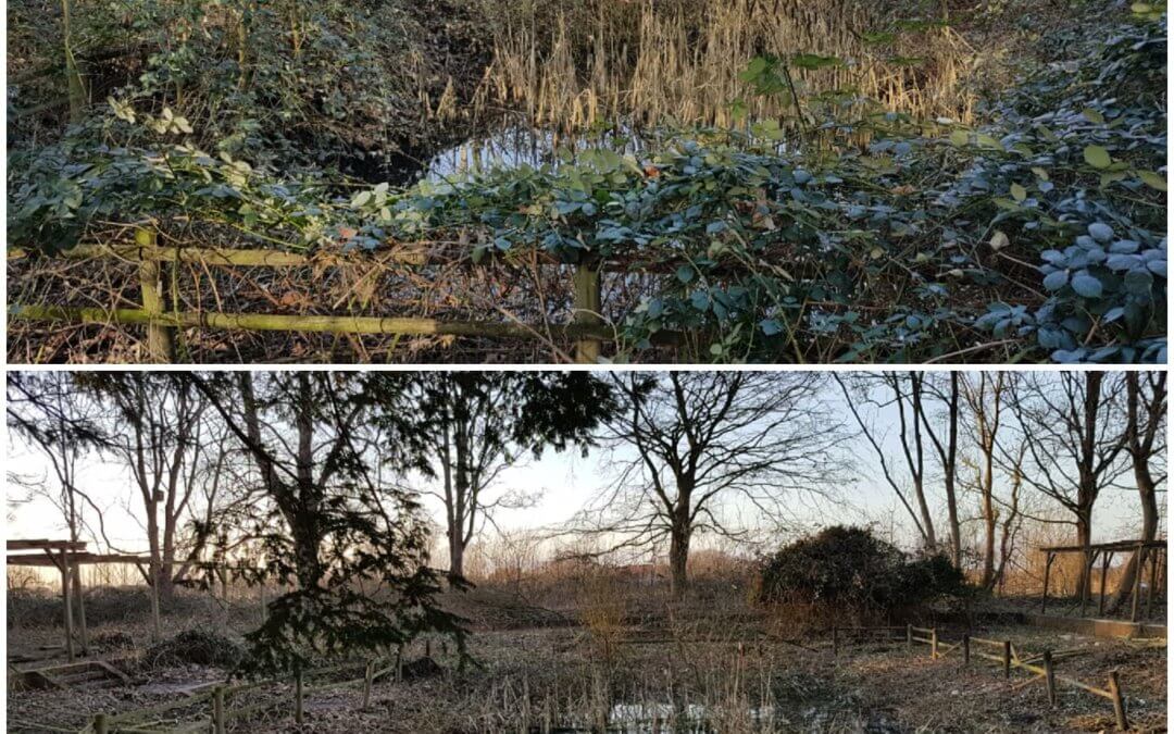 28.02.2021 Ein paar Eindrücke aus dem Cassens-Park