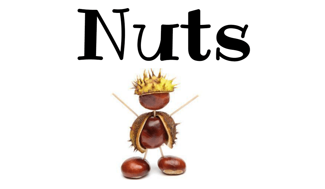 12. Oktober 2024: Kastanien-Figuren Wettbewerb „Nuts“ für alle Emder/innen