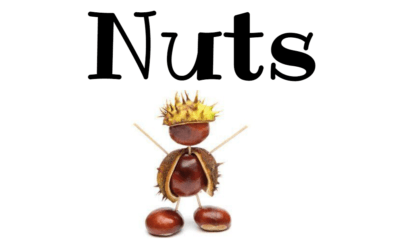 12. Oktober 2024: Kastanien-Figuren Wettbewerb „Nuts“ für alle Emder/innen